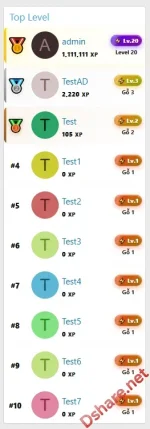 VNXF Level System-6.webp