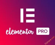 Elementor Pro - WordPress Page Builder